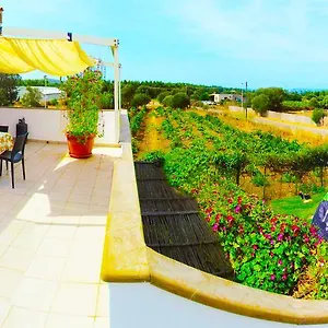 https://kiteshomes.in-sardinia.net
